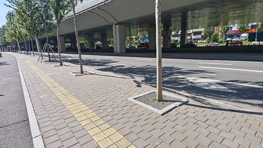 長春市亞泰大街益民路  荷蘭磚.jpg